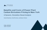 Beneﬁts and Costs of Power Plant Carbon Emissions Pricing ...