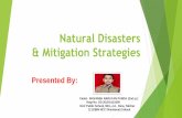 Natural Disasters & Mitigation Strategies