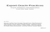 Expert Oracle Practices - Springer