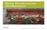 Rose Production Guidelines