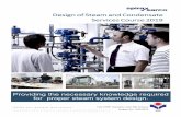 Design of Steam and Condensate Services Course 2019