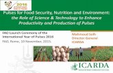 Pulses for Food Security, Nutrition and Environment