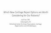 Which New Cartilage Repair Options are Worth Considering ...