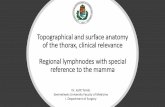 Topographical and surface anatomy of the thorax, clinical ...