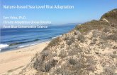 Nature-based Sea Level Rise Adaptation Placeholder Title