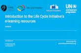 Introduction to the Life Cycle Initiative’s e-learning ...