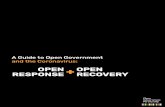 OPEN RESPONSE RECOVERY