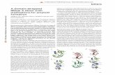 A domain-swapped RNase A dimer with implications for ...
