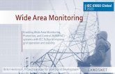 Wide Area Monitoring