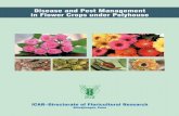 Disease and Pest Management in Flower Crops under Polyhouse