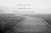 What Is Biblical Discipleship? - Silica Bible Chapel