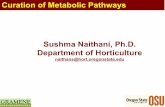 Sushma Naithani, Ph.D. Department of Horticulture