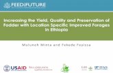 Increasing the Yield, Quality and Preservation of Fodder ...