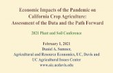 Economic Impacts of the Pandemic on California Crop ...