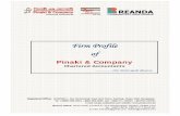 Firm Profile 2020 - pinakicabd.com