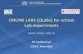 Lab experiments ONLINE LABS (OLabs) for school