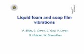 Liquid foam and soap film vibrations