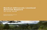 Berkut Minerals Limited Annual Report