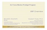 Air Force Mentor-Protégé Program