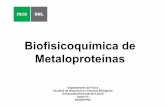 Biofisicoquímica de Metaloproteínas