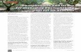 Phosphonates and its use for managing Phytophthora root ...