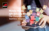 Mobile Money API Industry Report