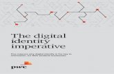 The digital identity imperative