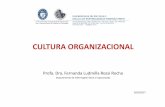 AULA - CULTURA ORGANIZACIONAL 2017