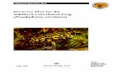 Recovery Plan for the Southern Corroboree Frog