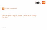 IAB Original Digital Video Consumer Study