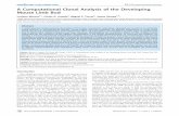 A Computational Clonal Analysis of the Developing Mouse ...