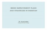 BREED IMPROVEMENT PLANS AND STRATEGIES IN PAKISTAN
