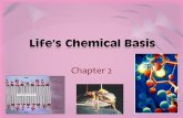 Life’s Chemical Basis - Weebly
