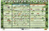 Companion Planting Chart - Home | Connect Extension