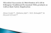 Microbial Succession & Distribution of Lab in Ethiopian