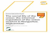 Pakistan onion: the informal regulation of the onion