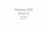Neoplasia 2018 lecture 3 - JU Medicine