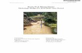 Bonita Peak Mining District - Hydrologic Budget for 2018 ...