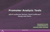 Promoter Analysis Tools - Promega Corporation