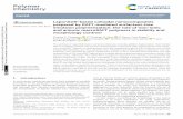 Laponite®-based colloidal nanocomposites prepared by RAFT ...
