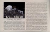Dall Sheep: What are they Worth? - Alaska Department of ...