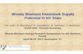 Woody Biomass Feedstock Supply Potential in NY State