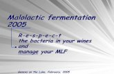 Malolactic fermentation 2005 - KB Home