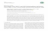 DNA Repair Gene XRCC1 and XPD Polymorphisms and Gastric ...