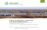 The natural capital of floodplains