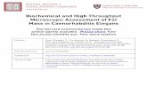 Biochemical and High Throughput Microscopic Assessment of ...