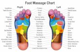 Foot Massage Chart - HerbalShop
