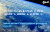 Exercise with EO Browser: Wildfires (Sentinel-1, Sentinel ...