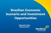 Brazilian Economic Scenario and Investment Opportunities