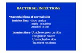 Bacterial Infections 1 - GMCH